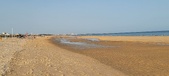 Enlarge photo 202