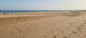 Enlarge photo 204