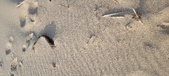 Enlarge photo 206