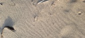 Enlarge photo 207
