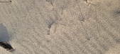 Enlarge photo 211