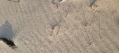 Enlarge photo 209