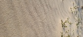 Enlarge photo 212