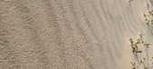 Enlarge photo 213