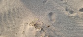 Enlarge photo 215