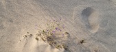 Enlarge photo 216
