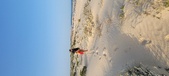 Enlarge photo 224