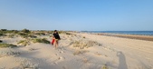 Enlarge photo 225