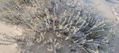 Enlarge photo 227