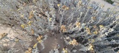 Enlarge photo 228