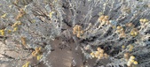 Enlarge photo 229