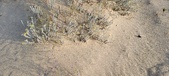 Enlarge photo 234
