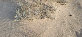 Enlarge photo 235