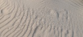 Enlarge photo 236
