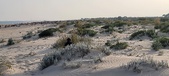 Enlarge photo 237