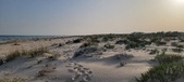 Enlarge photo 238