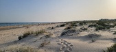 Enlarge photo 239