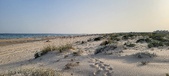 Enlarge photo 240