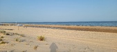 Enlarge photo 241