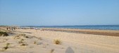 Enlarge photo 242