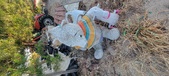 Enlarge photo 281