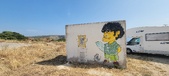 Enlarge photo 50