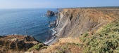 Enlarge photo 71