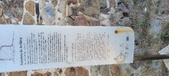 Enlarge photo 97