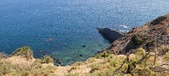 Enlarge photo 115