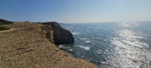 Enlarge photo 137