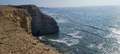 Enlarge photo 135