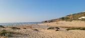 Enlarge photo 154
