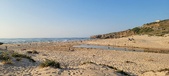 Enlarge photo 157