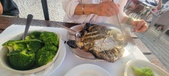 Enlarge photo 176