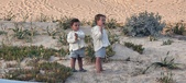 Enlarge photo 184