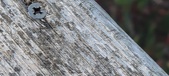 Enlarge photo 213
