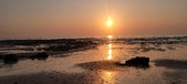 Enlarge photo 216