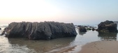 Enlarge photo 218