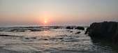 Enlarge photo 219