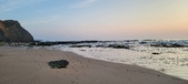 Enlarge photo 226