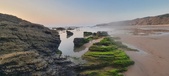 Enlarge photo 229