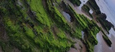 Enlarge photo 237