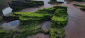 Enlarge photo 240