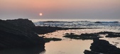 Enlarge photo 242