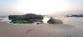 Enlarge photo 244