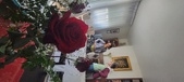 Enlarge photo 44