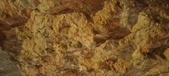 Enlarge photo 129