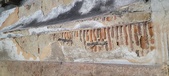 Enlarge photo 116