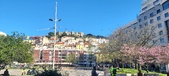 Enlarge photo 56