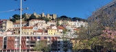 Enlarge photo 51